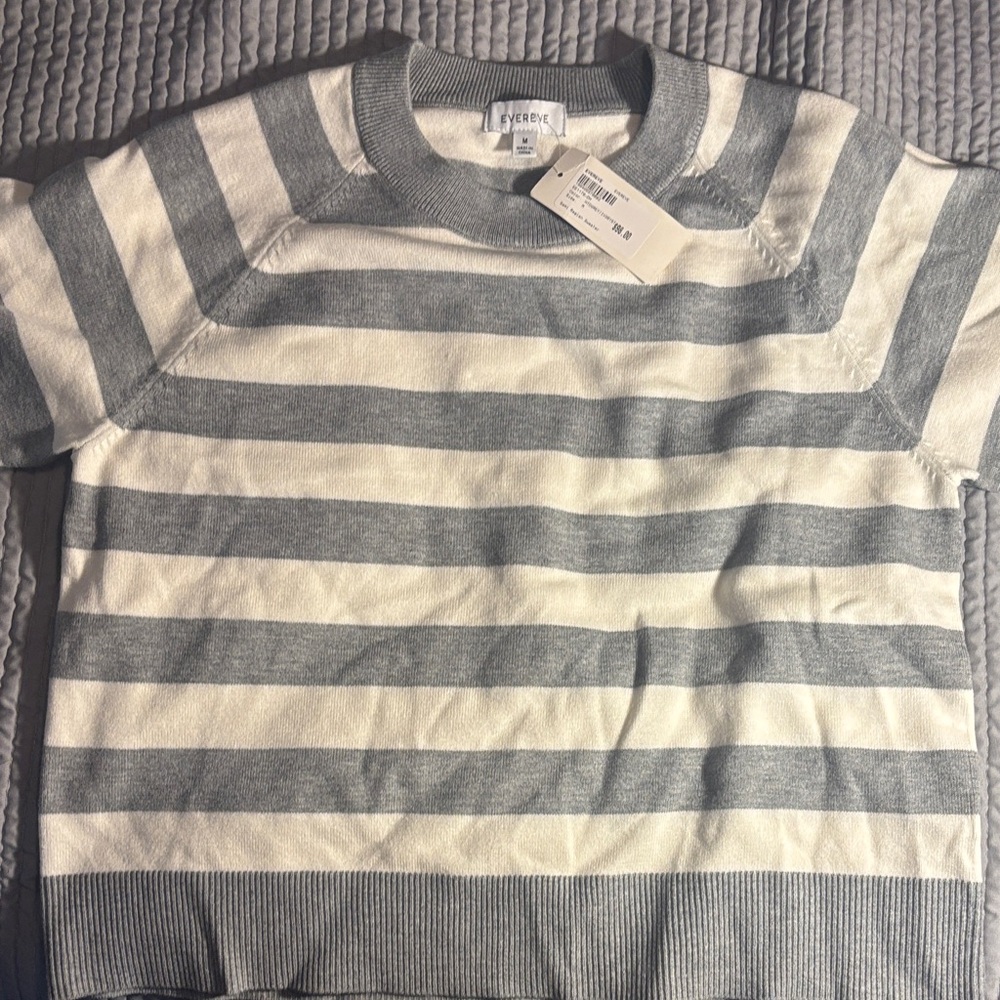 Evereve Sami Raglan Sweater